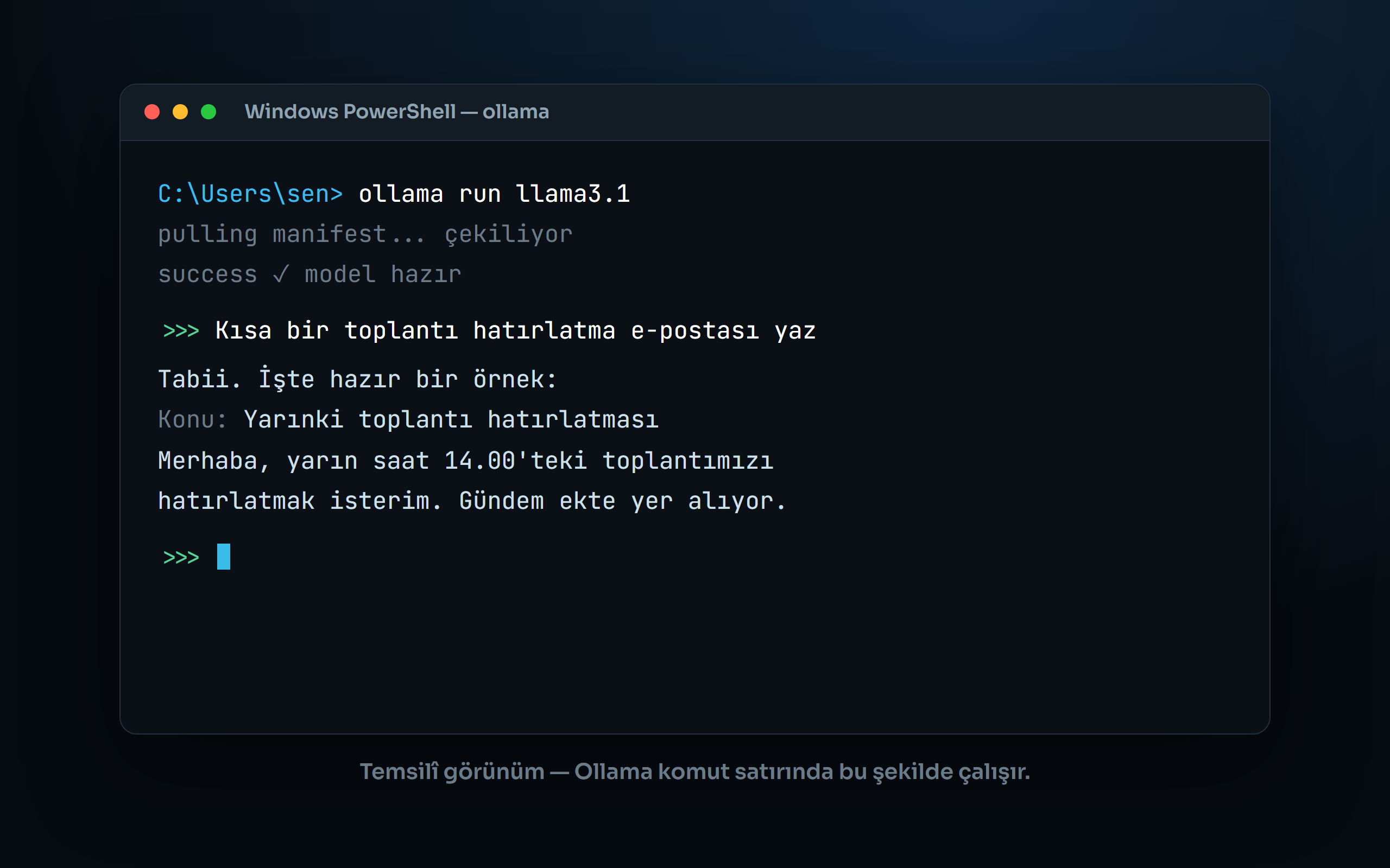 Ollama komut satırı temsilî görünümü: ollama run llama3.1 komutu ve modelin ürettiği e-posta yanıtı
